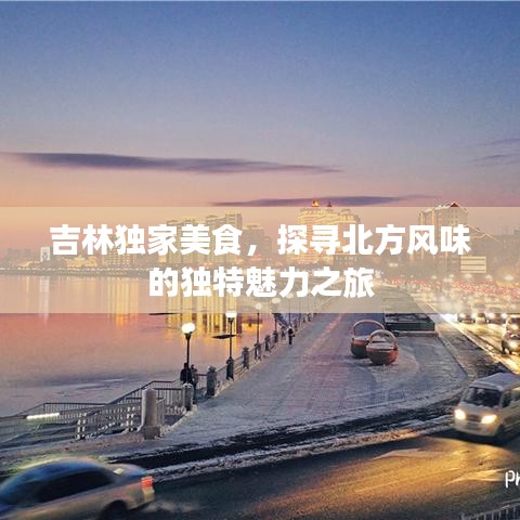 吉林獨(dú)家美食，探尋北方風(fēng)味的獨(dú)特魅力之旅