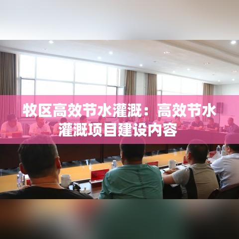 牧區(qū)高效節(jié)水灌溉：高效節(jié)水灌溉項(xiàng)目建設(shè)內(nèi)容 