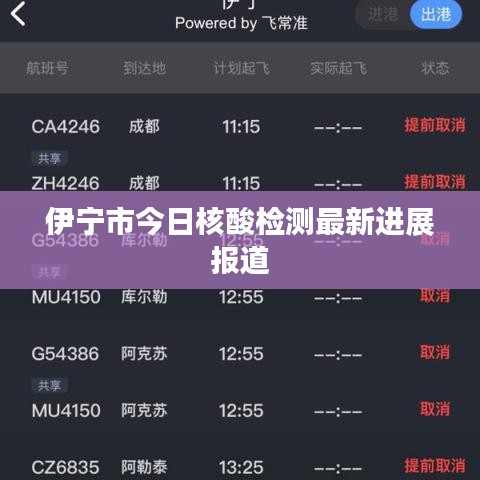 伊寧市今日核酸檢測最新進(jìn)展報道