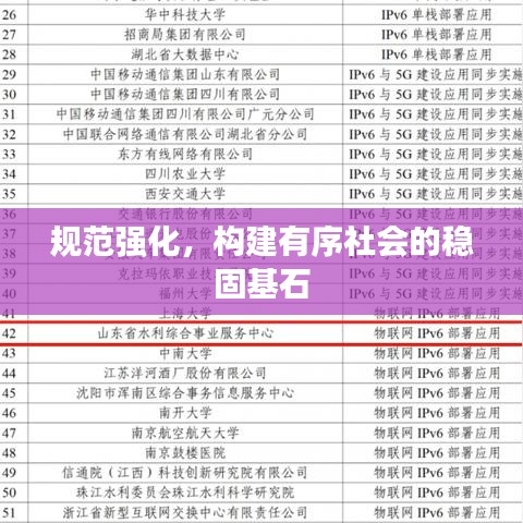 規(guī)范強化，構(gòu)建有序社會的穩(wěn)固基石