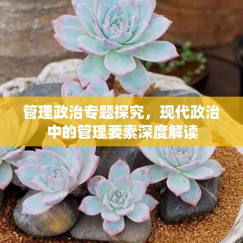管理政治專題探究，現(xiàn)代政治中的管理要素深度解讀