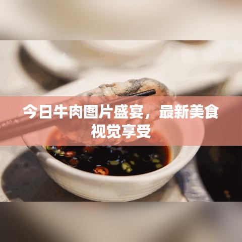 今日牛肉圖片盛宴，最新美食視覺享受