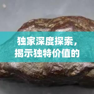 獨家深度探索，揭示獨特價值的奧秘之旅