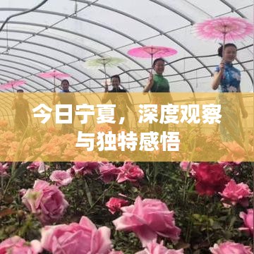 鳥駭鼠竄 第2頁