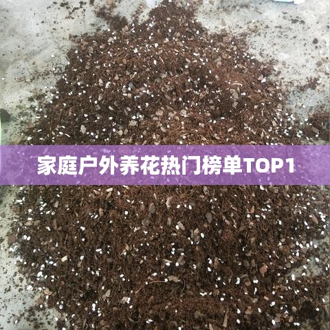 家庭戶外養(yǎng)花熱門榜單TOP10