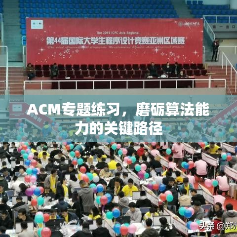 ACM專題練習(xí)，磨礪算法能力的關(guān)鍵路徑