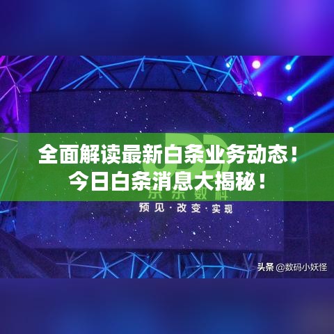 全面解讀最新白條業(yè)務(wù)動(dòng)態(tài)！今日白條消息大揭秘！