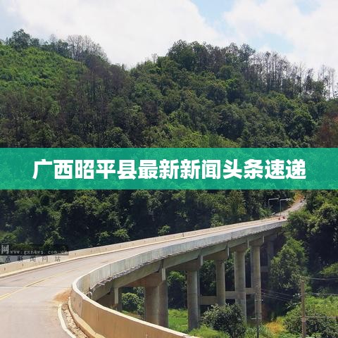 廣西昭平縣最新新聞?lì)^條速遞