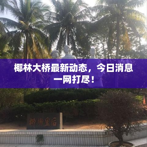 椰林大橋最新動(dòng)態(tài)，今日消息一網(wǎng)打盡！