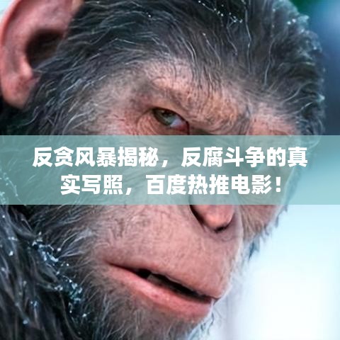 反貪風(fēng)暴揭秘，反腐斗爭的真實寫照，百度熱推電影！