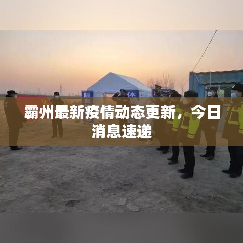 霸州最新疫情動(dòng)態(tài)更新，今日消息速遞