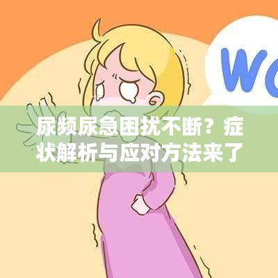 尿頻尿急困擾不斷？癥狀解析與應(yīng)對方法來了！