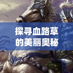 探尋血路草的美麗奧秘，百度圖片帶你領(lǐng)略血路草的風(fēng)采