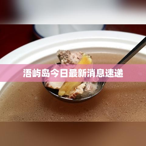 浯嶼島今日最新消息速遞