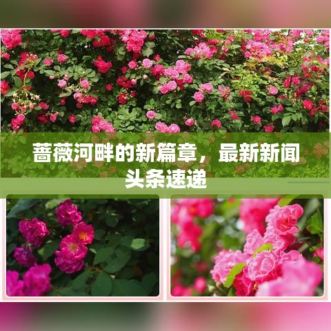 薔薇河畔的新篇章，最新新聞?lì)^條速遞