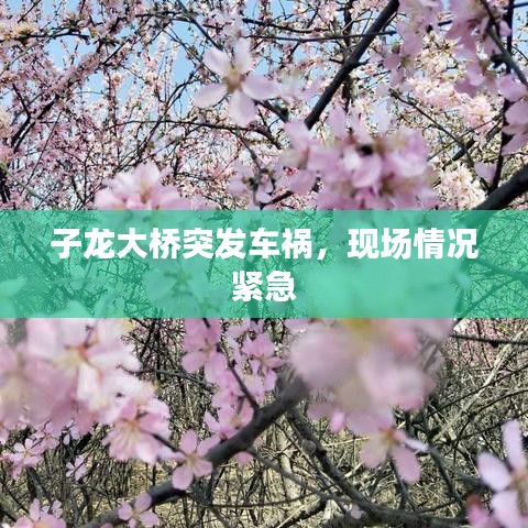 子龍大橋突發(fā)車禍，現(xiàn)場情況緊急