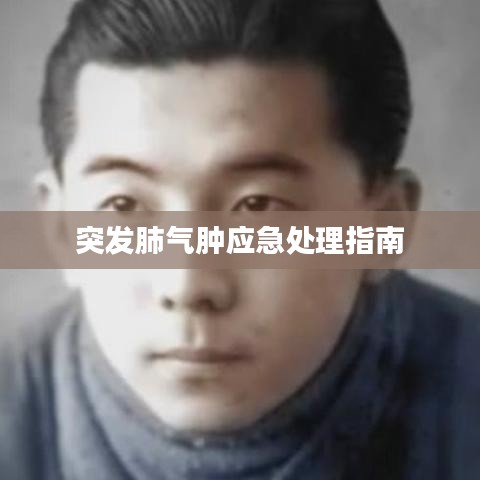 突發(fā)肺氣腫應急處理指南
