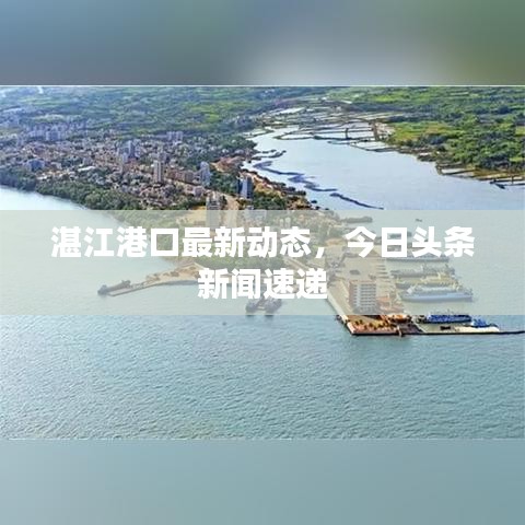 湛江港口最新動(dòng)態(tài)，今日頭條新聞速遞