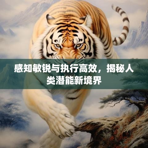 感知敏銳與執(zhí)行高效，揭秘人類潛能新境界
