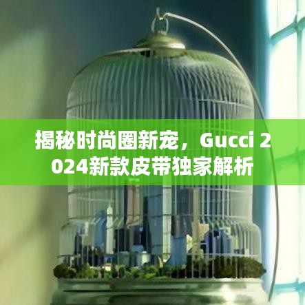 揭秘時尚圈新寵，Gucci 2024新款皮帶獨家解析