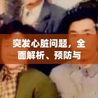 突發(fā)心臟問題，全面解析、預(yù)防與應(yīng)急處理方案