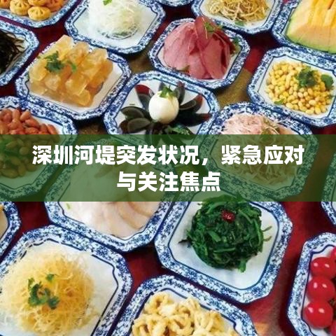 深圳河堤突發(fā)狀況，緊急應對與關注焦點
