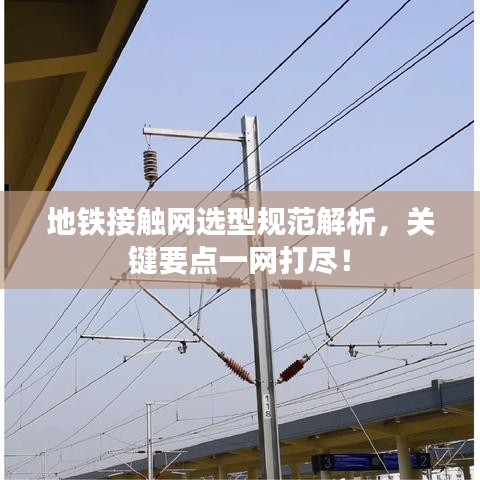 碩果僅存 第2頁