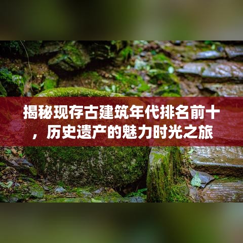 屈尊就卑 第3頁(yè)
