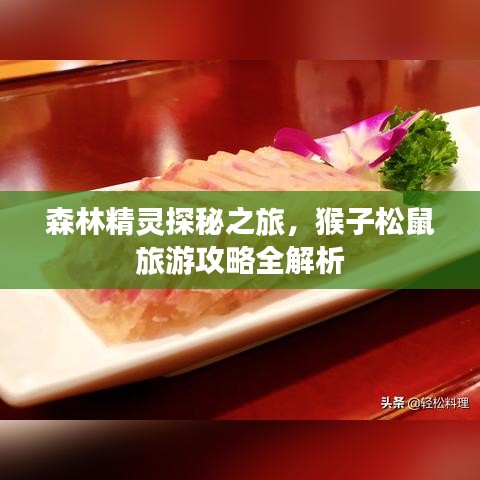 森林精靈探秘之旅，猴子松鼠旅游攻略全解析