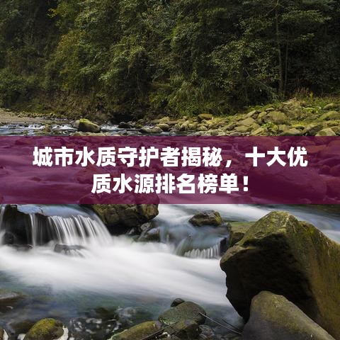 獨(dú)出新裁 第2頁