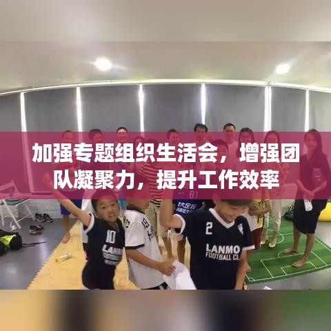 加強(qiáng)專(zhuān)題組織生活會(huì)，增強(qiáng)團(tuán)隊(duì)凝聚力，提升工作效率