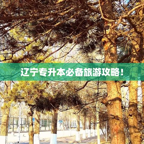 遼寧專升本必備旅游攻略！