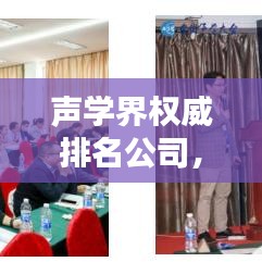 聲學(xué)界權(quán)威排名公司，引領(lǐng)聲學(xué)技術(shù)潮流的先鋒領(lǐng)航者