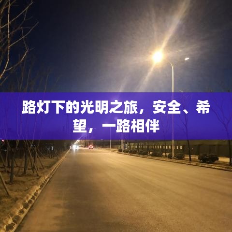 路燈下的光明之旅，安全、希望，一路相伴