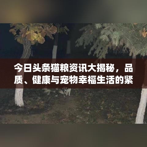 今日頭條貓糧資訊大揭秘，品質(zhì)、健康與寵物幸福生活的緊密關聯(lián)