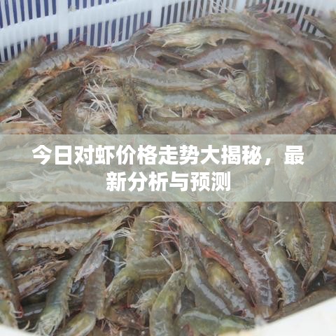 今日對(duì)蝦價(jià)格走勢(shì)大揭秘，最新分析與預(yù)測(cè)