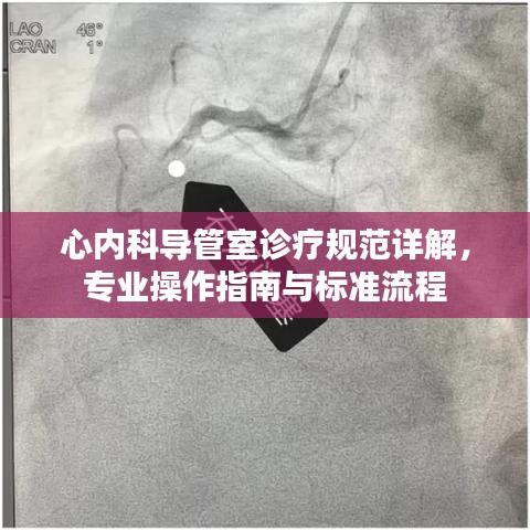 心內(nèi)科導(dǎo)管室診療規(guī)范詳解，專業(yè)操作指南與標(biāo)準(zhǔn)流程