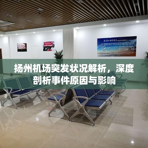 揚州機場突發(fā)狀況解析，深度剖析事件原因與影響