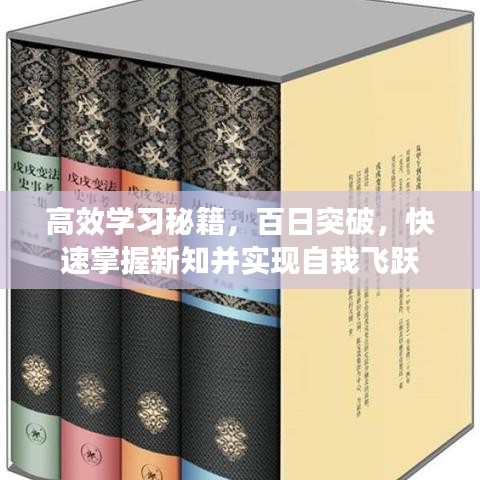 高效學(xué)習(xí)秘籍，百日突破，快速掌握新知并實(shí)現(xiàn)自我飛躍