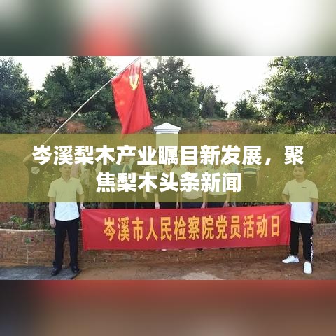 岑溪梨木產(chǎn)業(yè)矚目新發(fā)展，聚焦梨木頭條新聞