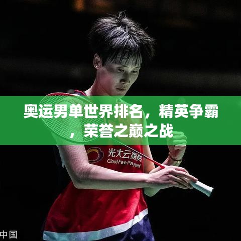 奧運男單世界排名，精英爭霸，榮譽之巔之戰(zhàn)