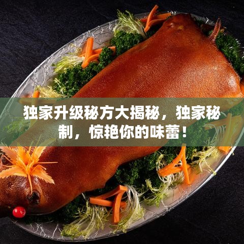獨(dú)家升級秘方大揭秘，獨(dú)家秘制，驚艷你的味蕾！