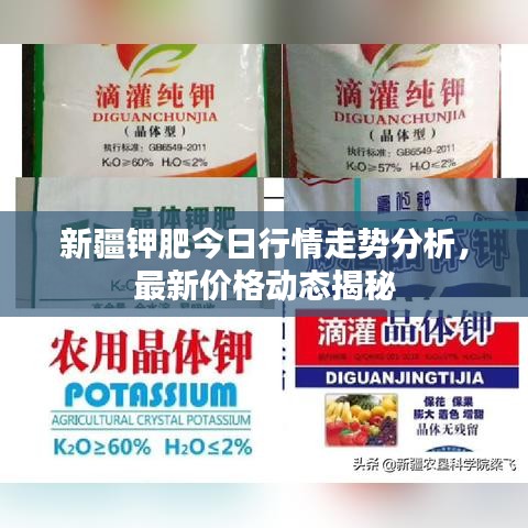 初告白 第2頁(yè)