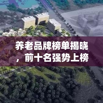 養(yǎng)老品牌榜單揭曉，前十名強(qiáng)勢(shì)上榜，不容錯(cuò)過(guò)！