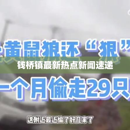 錢橋鎮(zhèn)最新熱點新聞速遞