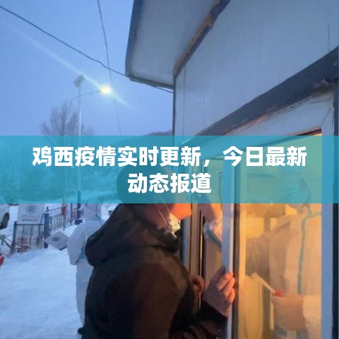 雞西疫情實時更新，今日最新動態(tài)報道