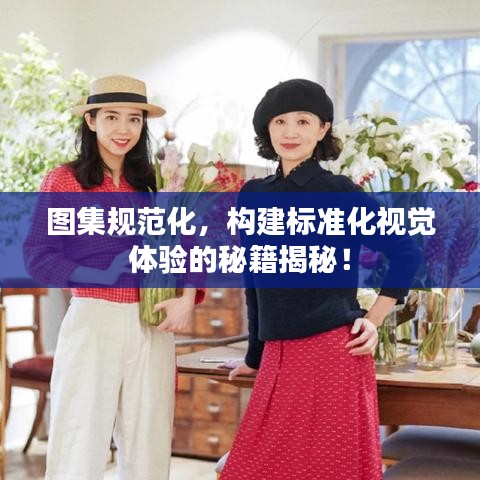 圖集規(guī)范化，構(gòu)建標(biāo)準(zhǔn)化視覺體驗(yàn)的秘籍揭秘！