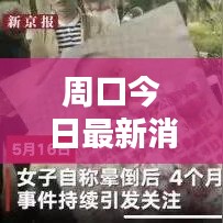 周口今日最新消息速遞