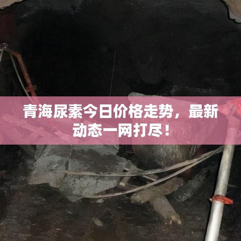 青海尿素今日價(jià)格走勢，最新動(dòng)態(tài)一網(wǎng)打盡！