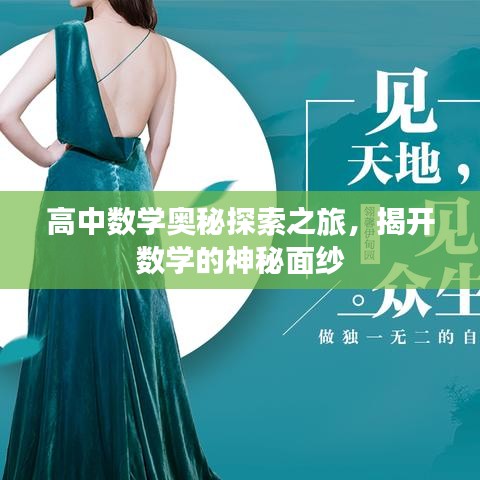 高中數(shù)學(xué)奧秘探索之旅，揭開數(shù)學(xué)的神秘面紗